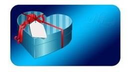 &quot;Gift Card and Promotional Code for amazon.In
